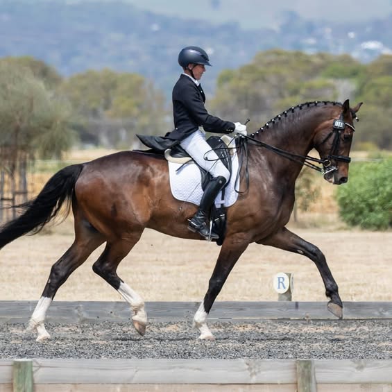 Ruth Schneeberger & Heathmont Romance in the navy blue equestrian horse riding helmet